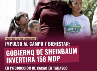Gobierno de Sheinbaum invertirá 158 mdp en producción de cacao en Tabasco