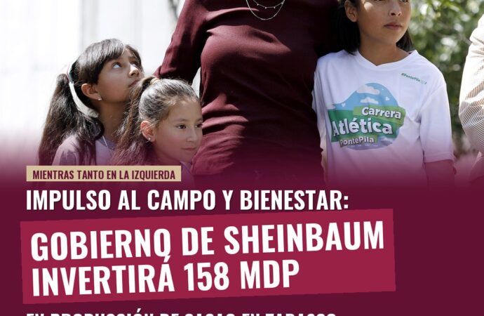 Gobierno de Sheinbaum invertirá 158 mdp en producción de cacao en Tabasco