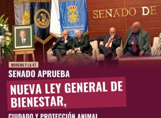 Senado aprueba nueva Ley General de Bienestar, Cuidado y Protección Animal
