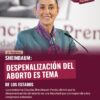 Sheinbaum: Despenalización del aborto es tema de los estados