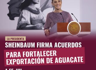 Sheinbaum firma acuerdos para fortalecer exportación de aguacate a EE. UU.
