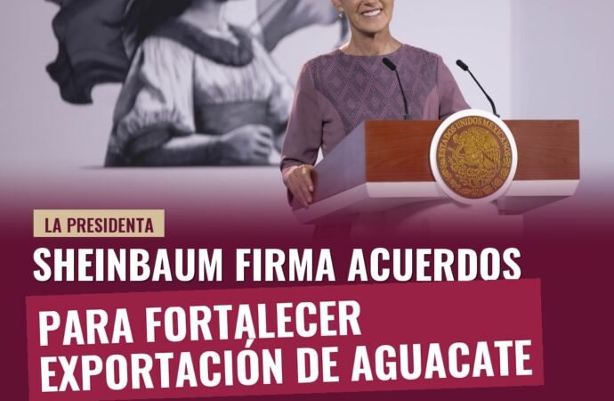 Sheinbaum firma acuerdos para fortalecer exportación de aguacate a EE. UU.